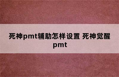 死神pmt辅助怎样设置 死神觉醒pmt